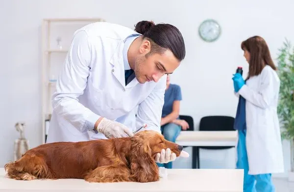 medical-0