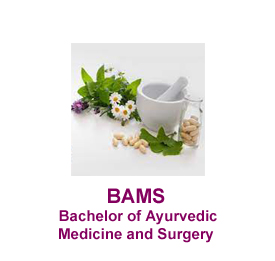 Top Medical Colleges
