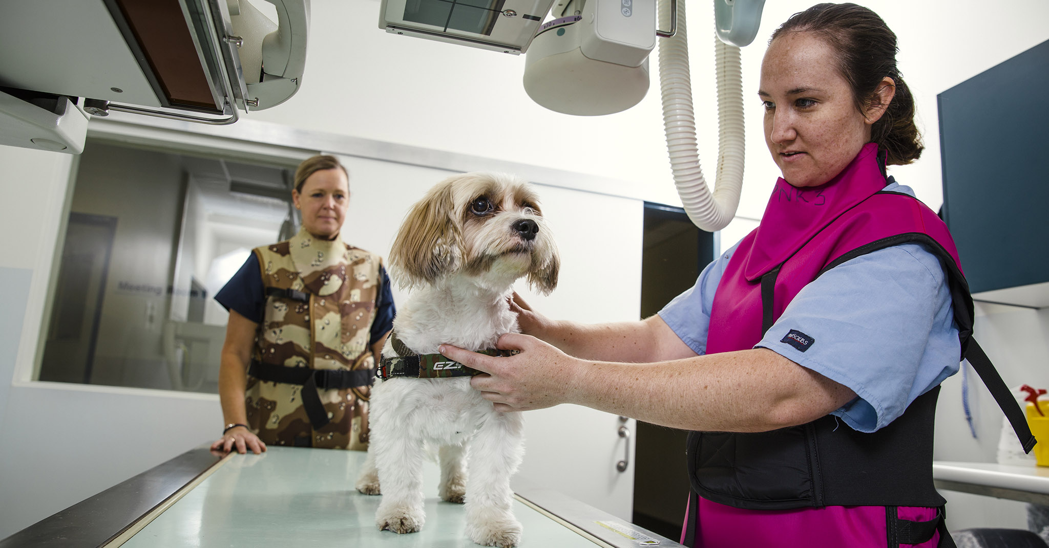 Top Medical Colleges